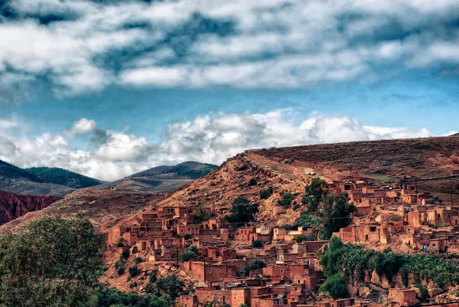 Marrakesh: Desert & Mountain Tour with Camel Ride & Lunch - Guides and drivers: what you’ll notice beyond the script