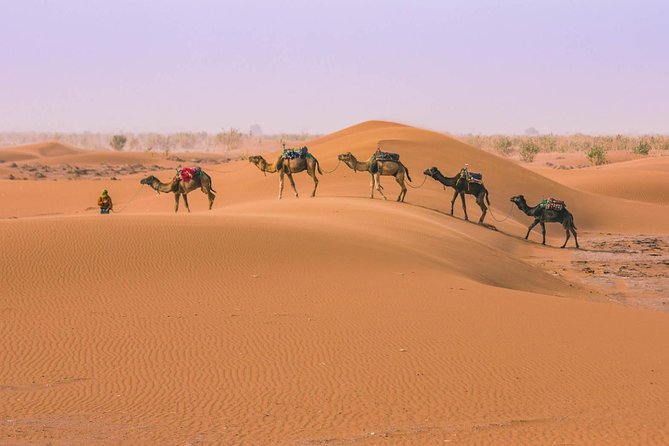 Marrakesh desert tour 3 days - Merzouga sunrise and the return ride choice