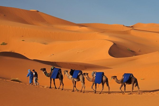 Marrakesh desert tour 3 days - Hotel pickup, air-conditioned comfort, and the van schedule