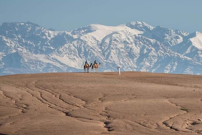 Marrakesh: High Atlas, Agafay desert and Waterfalls Tour - Why this High Atlas plus Agafay day-trip feels worth it