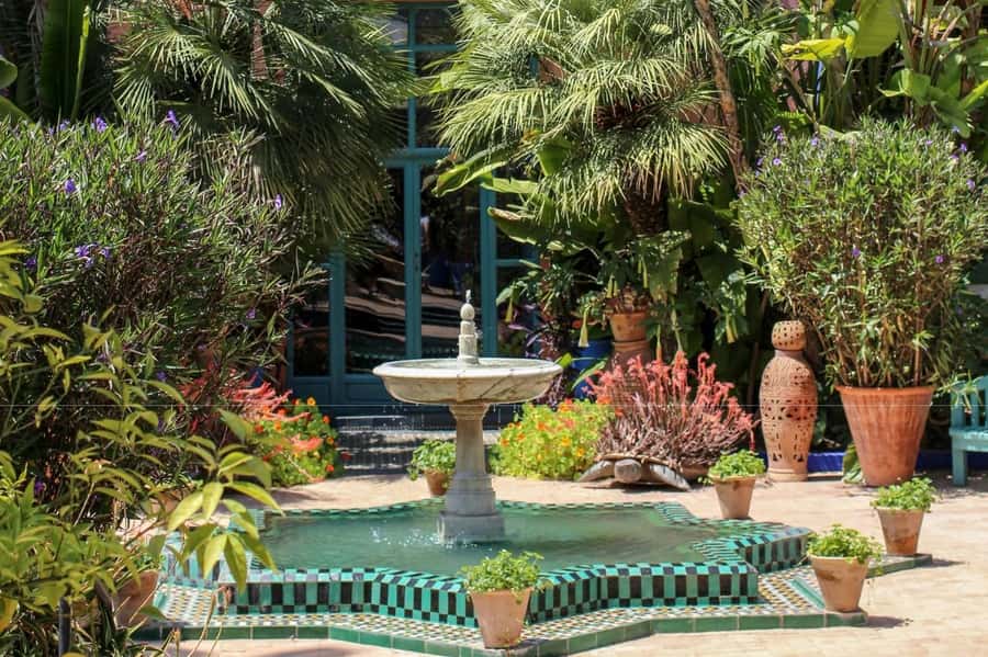 Marrakesh: Majorelle Garden Entry Tickets - Rare plants, cacti, and the easy self-guided route
