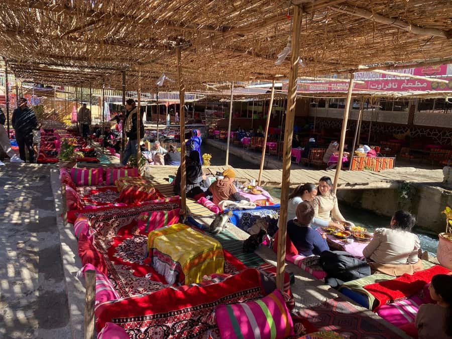 Marrakesh: Ourika Valley Tour & Secret Berber Lunch + Guide - Setti Fadma: The Waterfall Hike That Can Fit Your Comfort Level