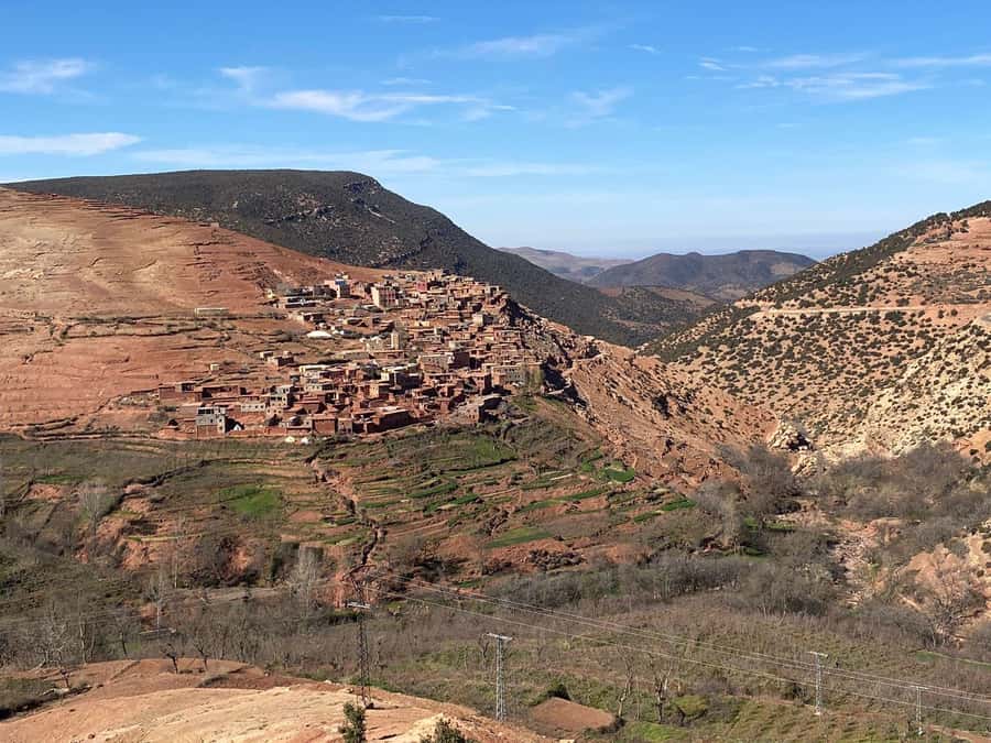 Marrakesh: Ourika Valley Tour & Secret Berber Lunch + Guide - Women-Run Argan Oil Cooperative: What You Learn and What You Support
