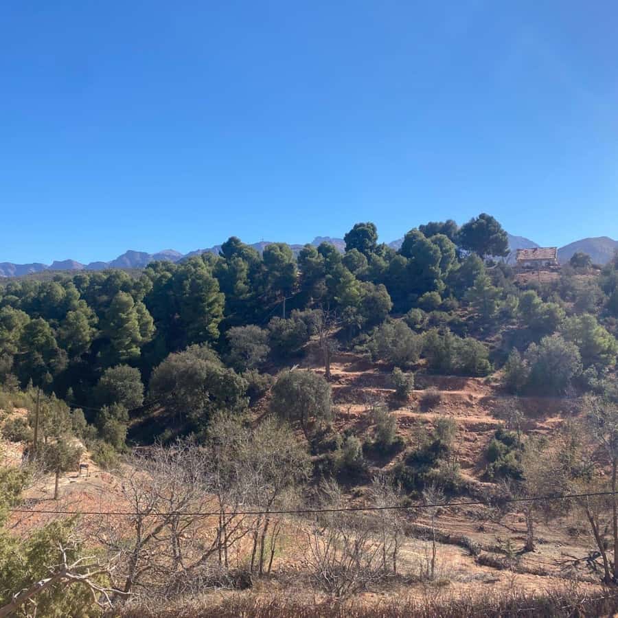 Marrakesh: Ourika Valley Tour & Secret Berber Lunch + Guide - Ourika Valley Lunch and River Time: The Part That Can Make or Break the Day