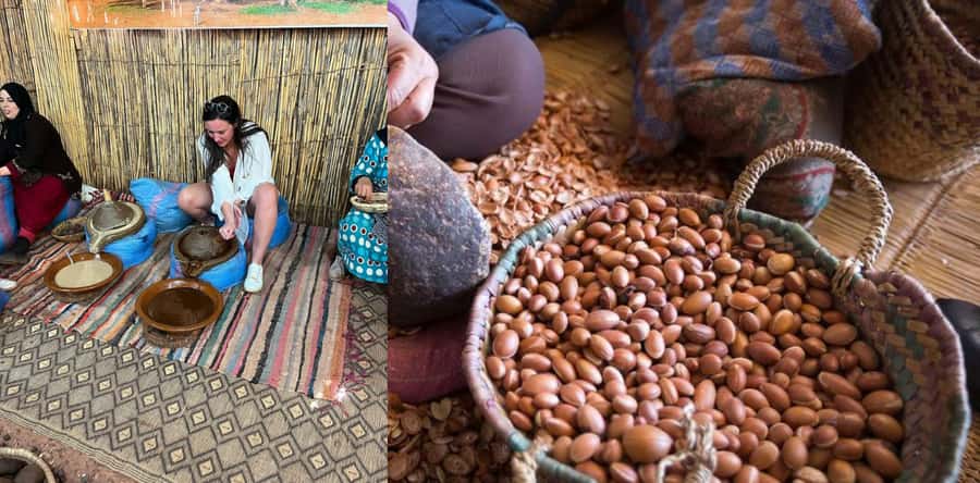 Marrakesh: Ourika Waterfalls, Atlas Mountains, Guide + Lunch - Guide Quality Makes or Breaks This Day