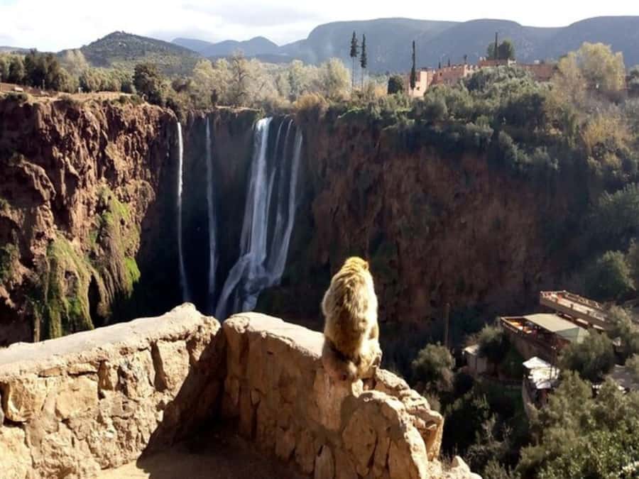 Marrakesh: Ouzoud Waterfalls Trip with Hike & Boat Option - Timing, Arrival at 6 PM, and Why the Day Feels Full