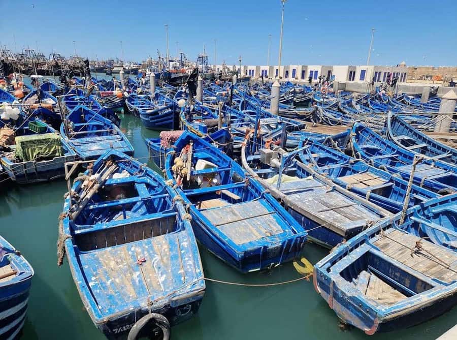 Marrakesh to Essaouira: Small-Group Day Trip & Cooperatives - Key highlights to focus on