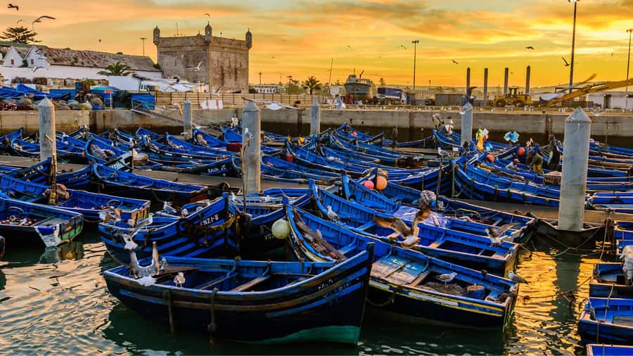 Marrakesh to Essaouira: Small-Group Day Trip & Cooperatives - Why Essaouira Feels Different From Other Moroccan City Stops