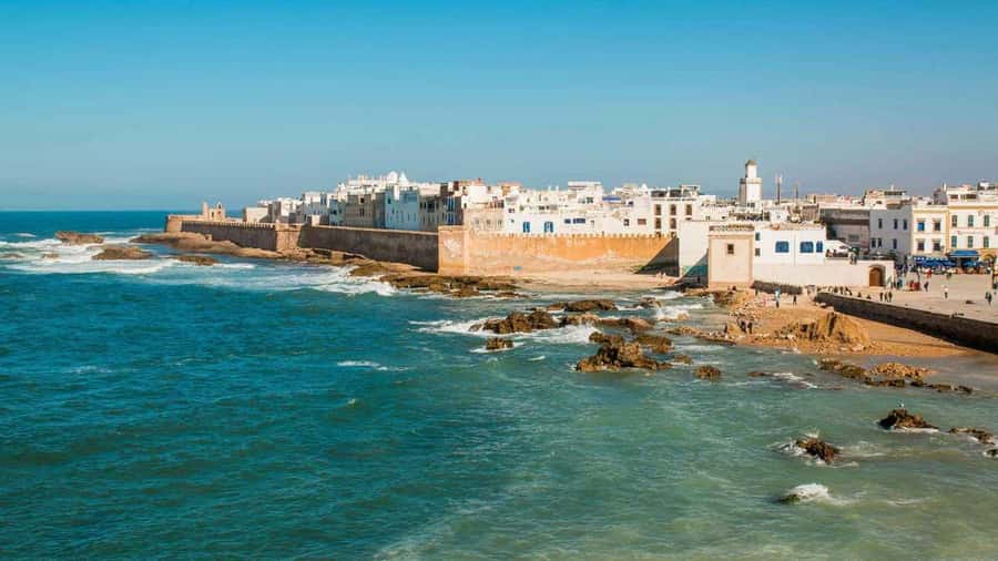 Marrakesh to Essaouira: Small-Group Day Trip & Cooperatives - Ocean Walks, Windy Vistas, and Optional Time for Water Sports