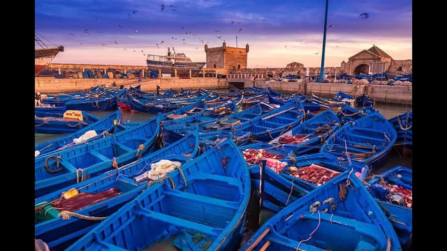 Marrakesh to Essaouira: Small-Group Day Trip & Cooperatives - The Real Value for Around $11, Plus the Service Level