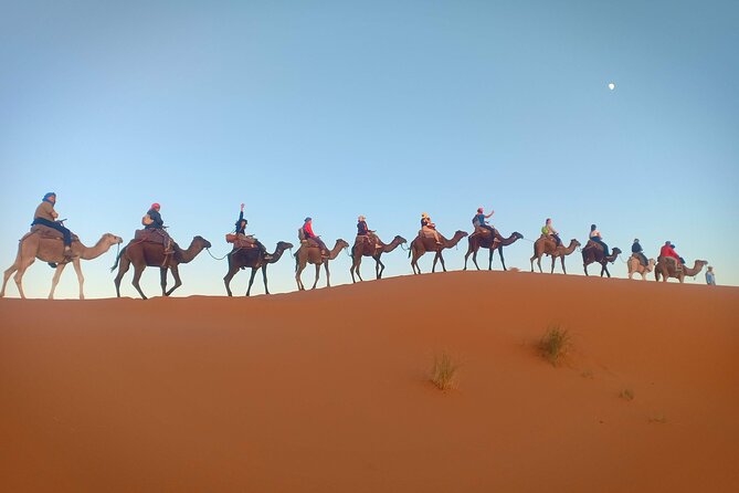Marrakesh to Fez 3-Day with Overnight merzouga Desert Camping - Key highlights worth getting excited about