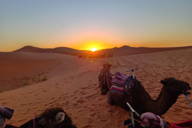 Marrakesh to Fez 3-Day with Overnight merzouga Desert Camping - The included camel trek: sunset over Erg Chebbi