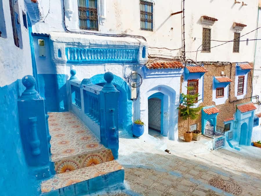 Memorable Day Trip From Fez to Chefchaouen the Blue City - Who this Chefchaouen day trip is best for