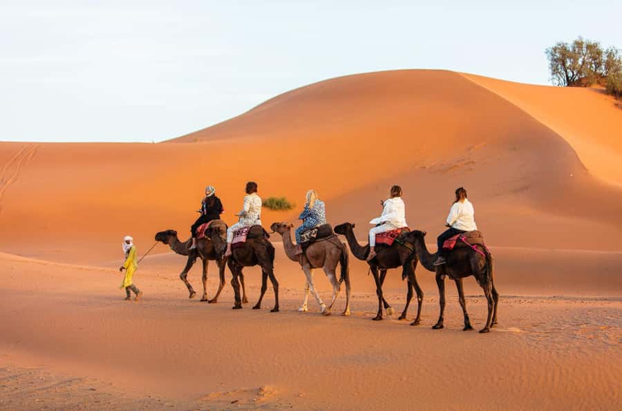 Merzouga: 1-Night in Desert Camp With Dinner & camel ride - Who This 1-Night Merzouga Camp Is Best For