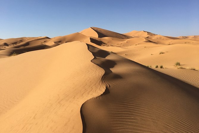 Merzouga 3-Days Desert Tour from Marrakech - Day 3: Optional sunrise over the dunes, camel back to Merzouga, then High Atlas return to Marrakech