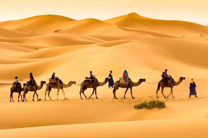 Merzouga 3-Days Desert Tour from Marrakech - Guides and service style: what the praise tells you