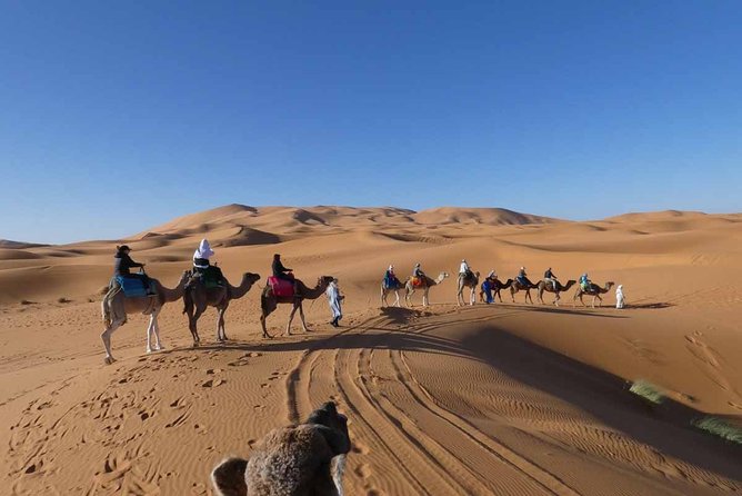 Merzouga 3-Days Desert Tour from Marrakech - Who this tour fits, and who should reconsider