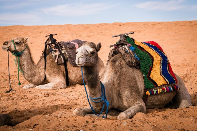 Merzouga 3-Days Desert Tour from Marrakech - Day 1: Tizi-n-Tichka to Ait Benhaddou, Ouarzazate, and Dades Gorges