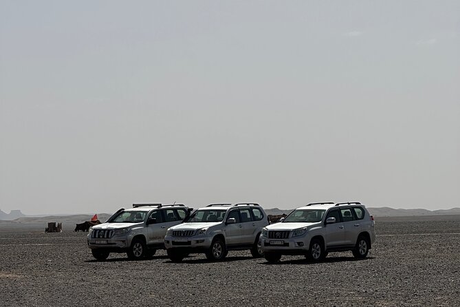 Merzouga 4X4 -Day Trip With Private Local Guide - Erg Chebbi dunes stop: golden sand time with admission included