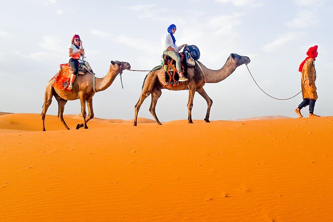Merzouga Camel Ride & Overnight Desert Camps - Standard vs luxury camp: comfort is the variable to manage