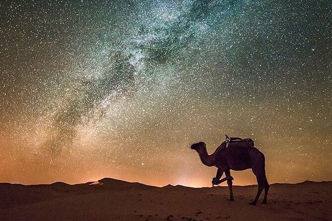 Merzouga Camel Ride & Overnight Desert Camps - Optional Lake of Merzouga and adding extra nights