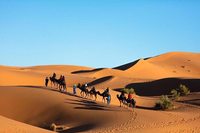 Merzouga Camel Ride & Overnight Desert Camps - Should you book this Merzouga camel ride and overnight desert camp?