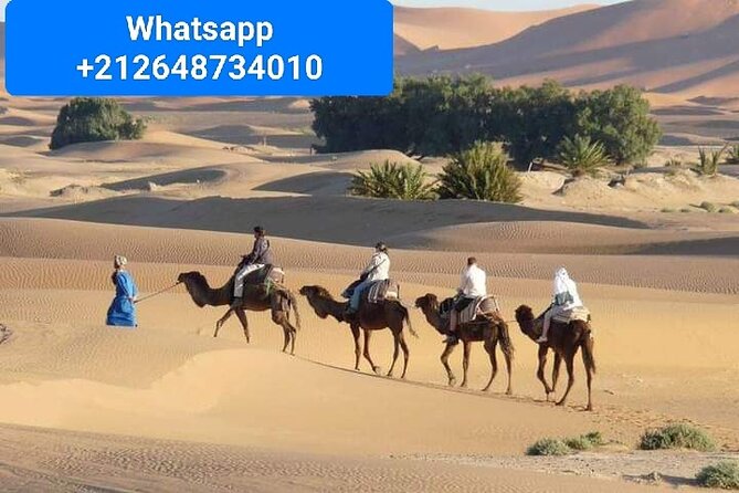 Merzouga Camel Trekking 1 Night Experience - Key Things You’ll Remember From This Merzouga 1 Night Camel Trek