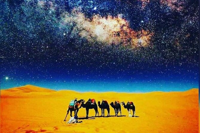 Merzouga Camel Trekking 1 Night Experience - Price and Value: What $81.30 Covers (and What It Does Not)