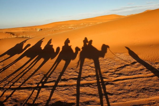 Merzouga Camel Trekking & Overnight Desert Camp - Price and Value: Why It Can Cost So Little