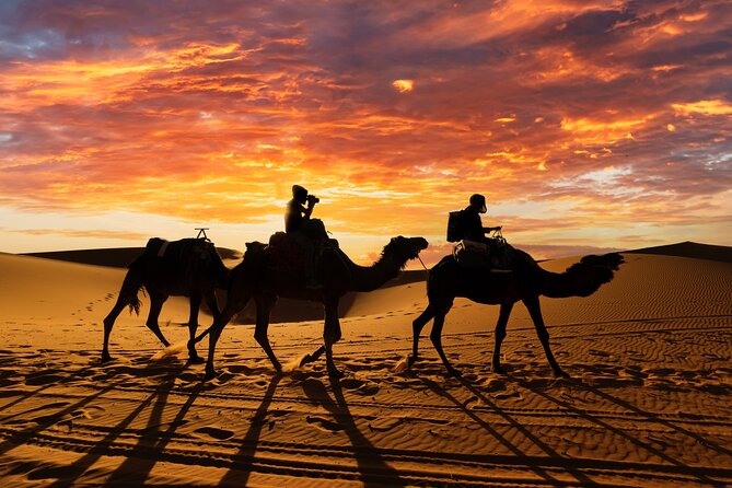 Merzouga Desert 3 Days 2 Nights Tour From Marrakech - Telouet Kasbah and the Ouarzazate stop you should not skip