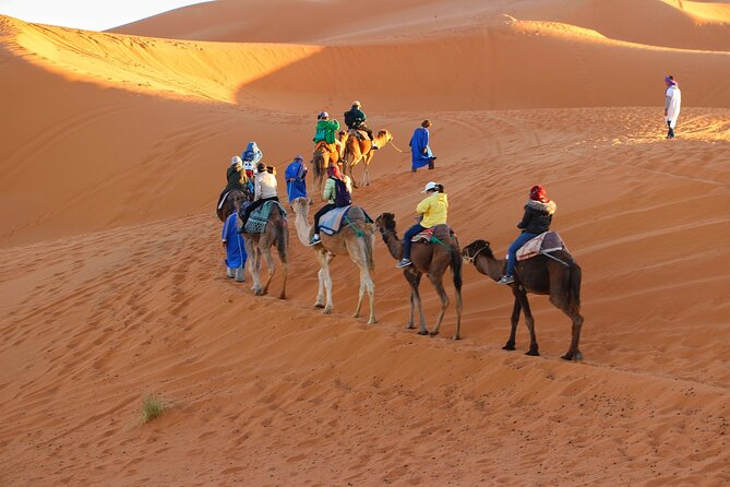 Merzouga Desert Campsite &Camel Excursions - Getting There Smoothly: Pickup, Private Parking, and the Meeting Point