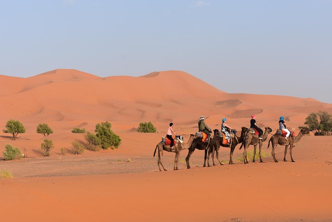 Merzouga Desert Morocco - Who Should Book This Merzouga Desert Overnight on One Day?