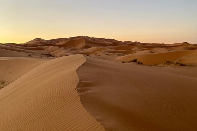Merzouga Desert Quad bike Adventure with Sand boarding - The Auberge Hassan Ouattou start: tea and camel feeding before you zoom