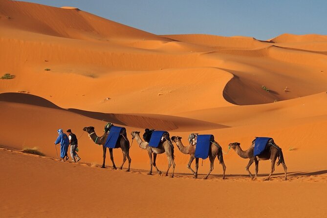 MERZOUGA DESERT TREK - 3 DAYS From Marrakech - Dades Valley to Todgha Canyon: Palm Groves, 1000 Kasbahs, and a Real Walk