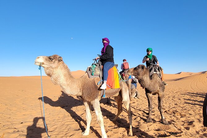 MERZOUGA DESERT TREK - 3 DAYS From Marrakech - Price and Logistics: What You Get for About $116 Per Person