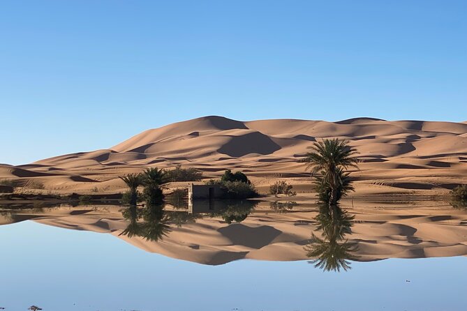 Merzouga Jeep 4WD Desert Tour: Sahara Adventure - Merzouga desert 4WD time plus nomad-family tea