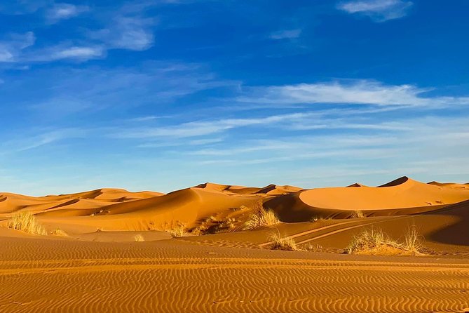 Moroccan Desert 3-Day Luxury Tour from Marrakech - Ouarzazate and Atlas Studios: where the desert gets a movie costume
