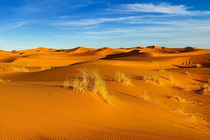 Moroccan Desert 3-Day Luxury Tour from Marrakech - Bottom line: should you book this Marrakech to Sahara 3-day tour?