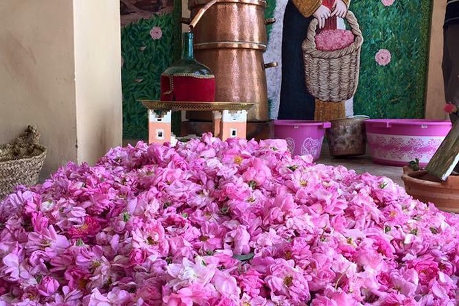 Morocco 11 Days Tour from Casablanca via Sahara Desert - Fes: Old Morocco, guided so you can actually enjoy it