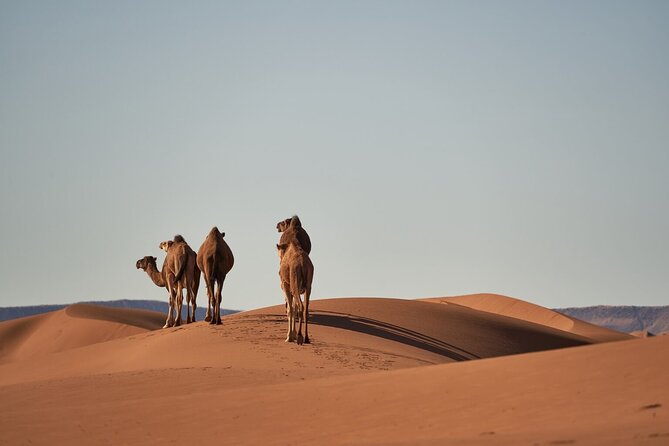 Morocco 8-Night Tour: Chefchaouen, Desert & Hot Air Balloon - Key highlights at a glance