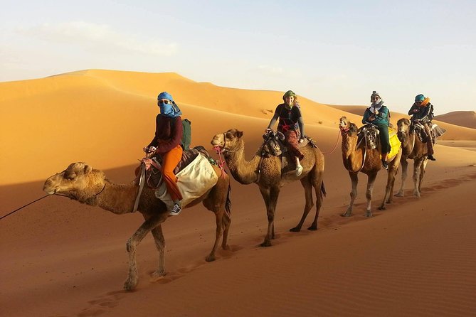 Morocco 9 Days Tour from Casablanca - Dades, Ouarzazate, and Ait-Ben-Haddou: kasbah views and film history