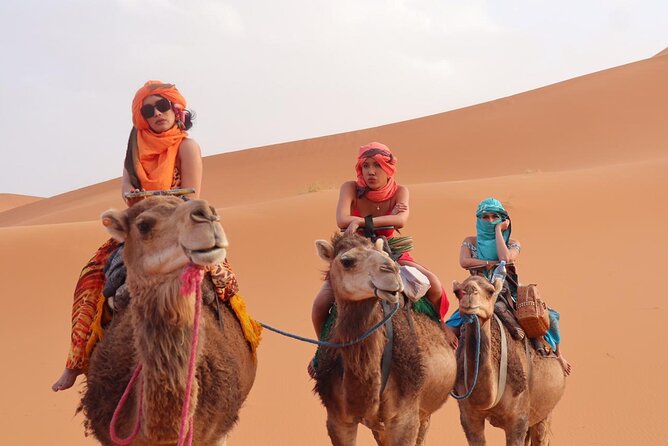 Morocco 9 Days Tour From Marrakech - Day 4: Sunrise in the dunes, Midelt, cedar forest monkeys, and arrival in Fes