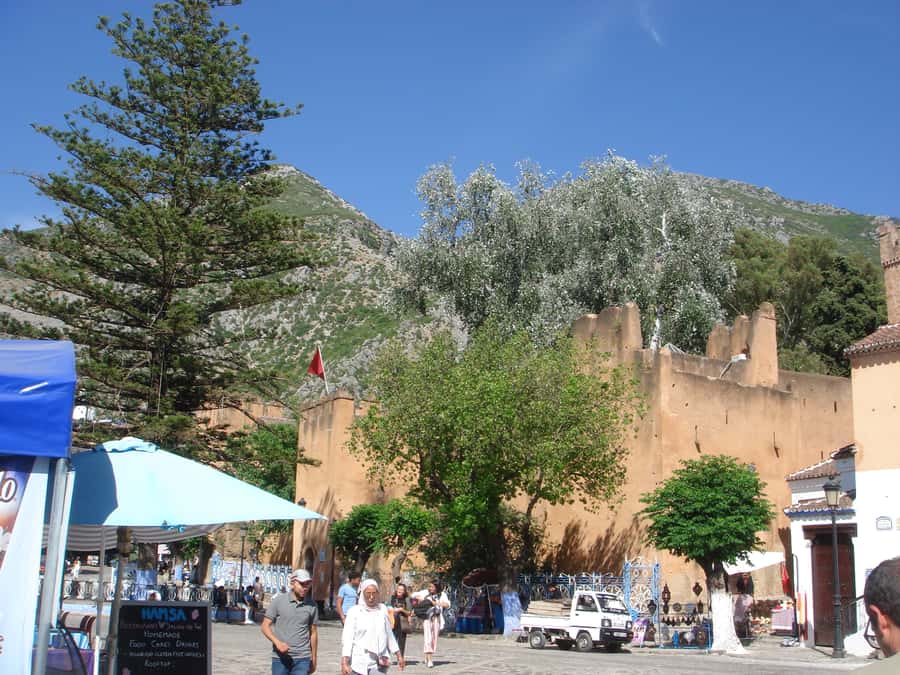 Morocco Day Trip with Tour Guide and Lunch from Algeciras - Key things that make this trip work