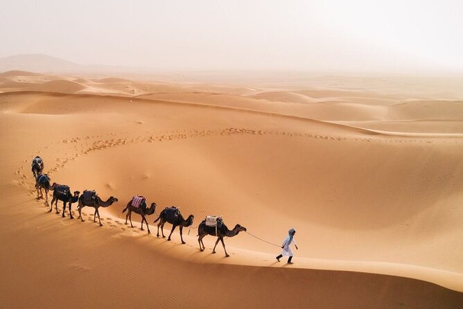 Morocco Tour from Casablanca to Sahara and Marrakech 5 days - Fez el-Bali day, madrasas and tanneries without losing your bearings
