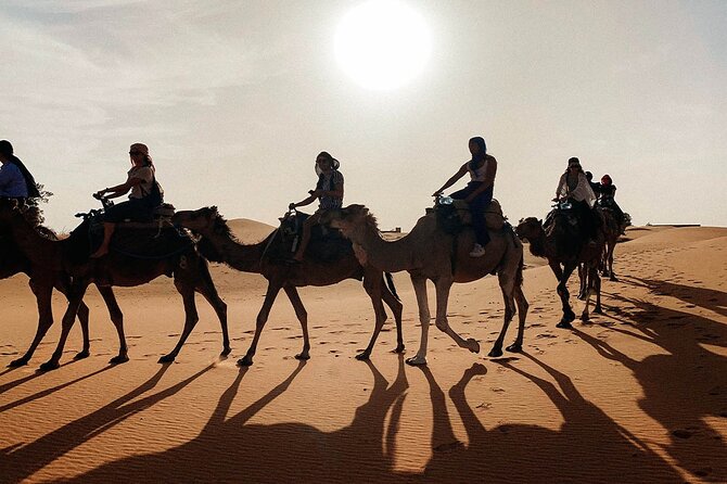 Morocco tour start from Casablanca 8 days - Roses, Skoura, Ouarzazate studios: the softer southern finish