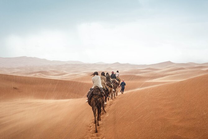 Morocco tour start from Casablanca 8 days - Price and logistics: when $1,228 per person feels fair