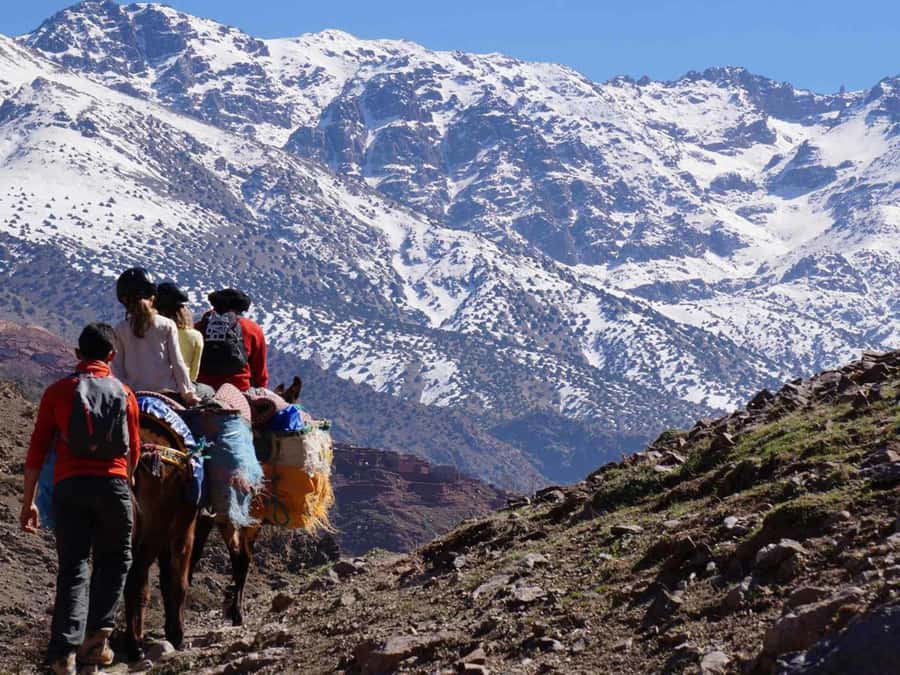 Mount Toubkal Trek 2 Days & 1 Night - Who This Trek Suits Best, and Who Should Rethink It