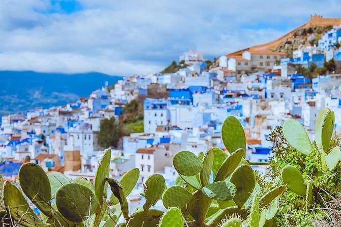 One way Transfer Tangier to Chefchaouen or vice versa - The Ride Itself: Clean Air-Conditioned Comfort and Real Driver Help