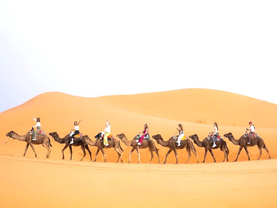 Ouarzazate to Marrakech: 3-Day Desert Tour with Camel Trek - Key moments you’ll feel on this route