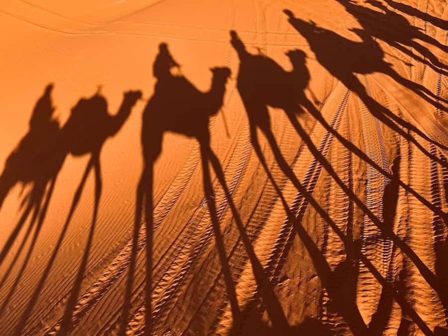 Ouarzazate to Marrakech: 3-Day Desert Tour with Camel Trek - Erg Chebbi camel trek and desert camp: sunrise, sunset, sandboarding, real comfort